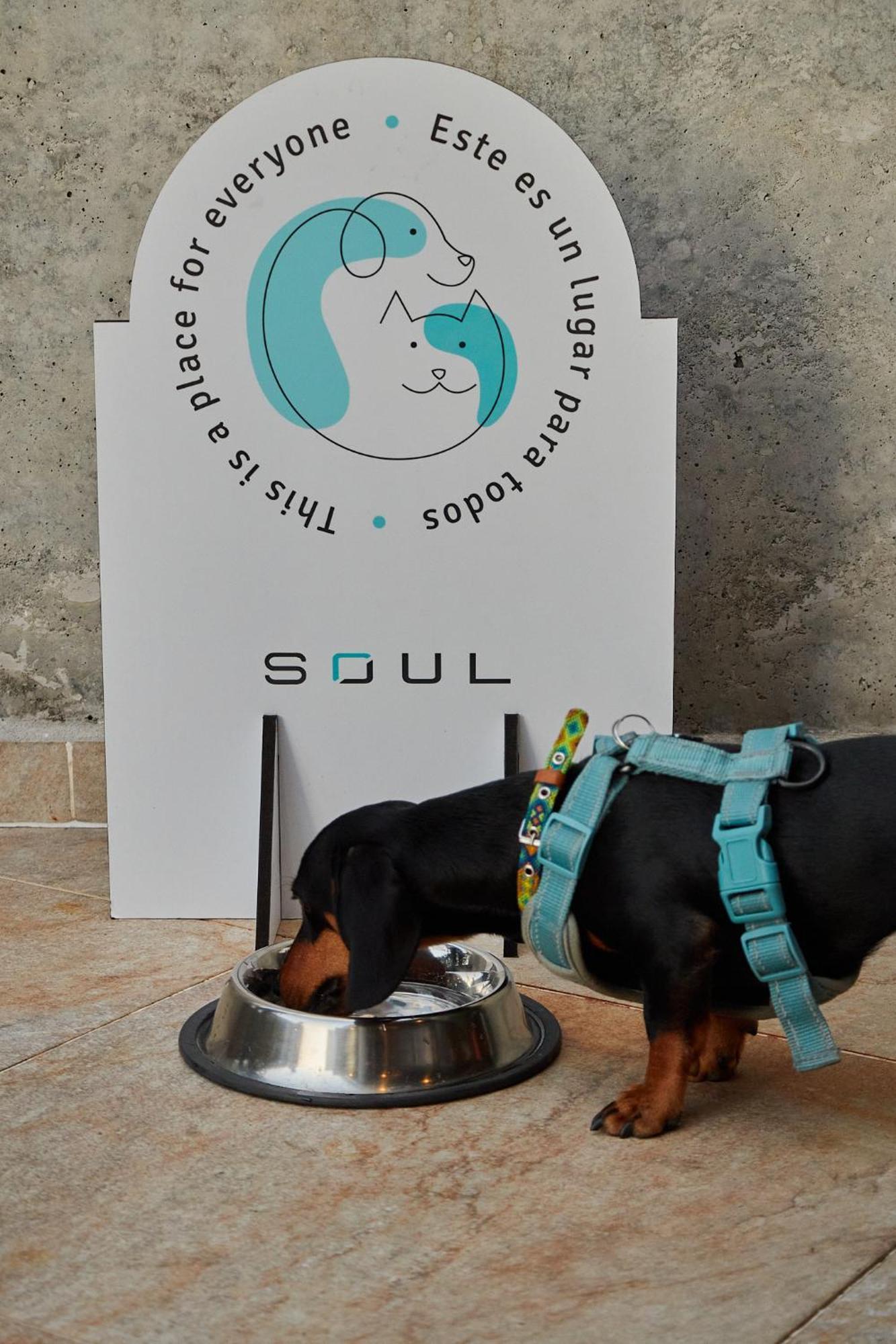 Soul Apartahotel Medellin Bagian luar foto